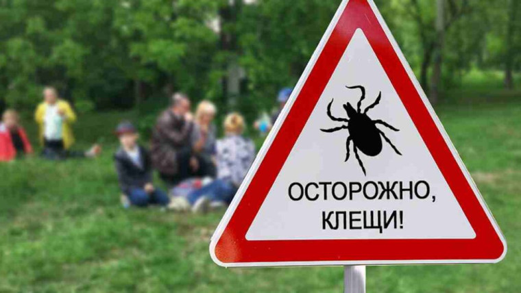 Профилактика клещевого энцефалита.